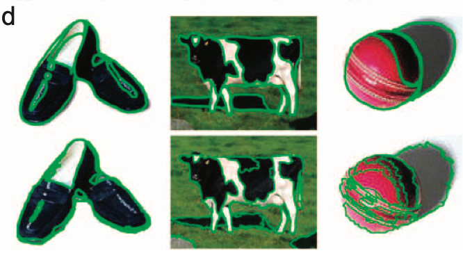 The top row shows the boundaries drawn by a newly sighted patient (S.K.) when asked to divide the images into distinct objects. The bottom row shows the outputs of a simple algorithm that separated the images into regions based on similarities in hue and luminance, without sensitivity to contour classification—e.g., whether a given edge corresponds to a genuine material edge or only a change in surface color or illumination. Notice the similarities between S.K.’s strategy and the simple algorithm. Source: Ostrovsky et al. (2009). Reprinted with permission of Sage Publications.